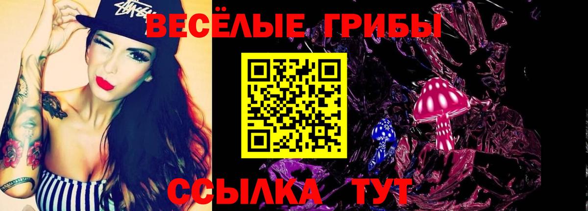 Кушва  Галлюциногенные грибы мухоморы  Вход с VPN 